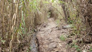 2024-01-GranCan-Barranco_de_los_Cernicalos-066.jpg